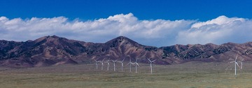 L1006354