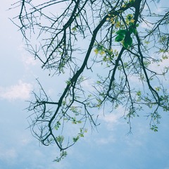 海-32