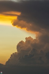 166019