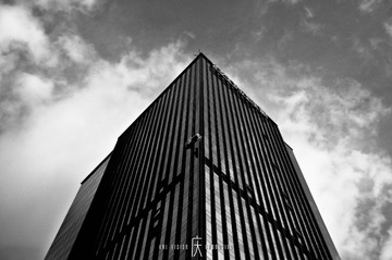 DSC_6599.jpg