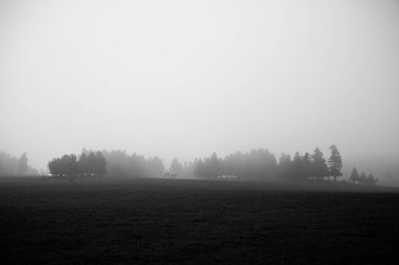 DSC_8597.jpg