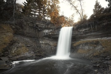 DSC02250_Fall
