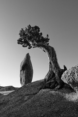 _DSC6155