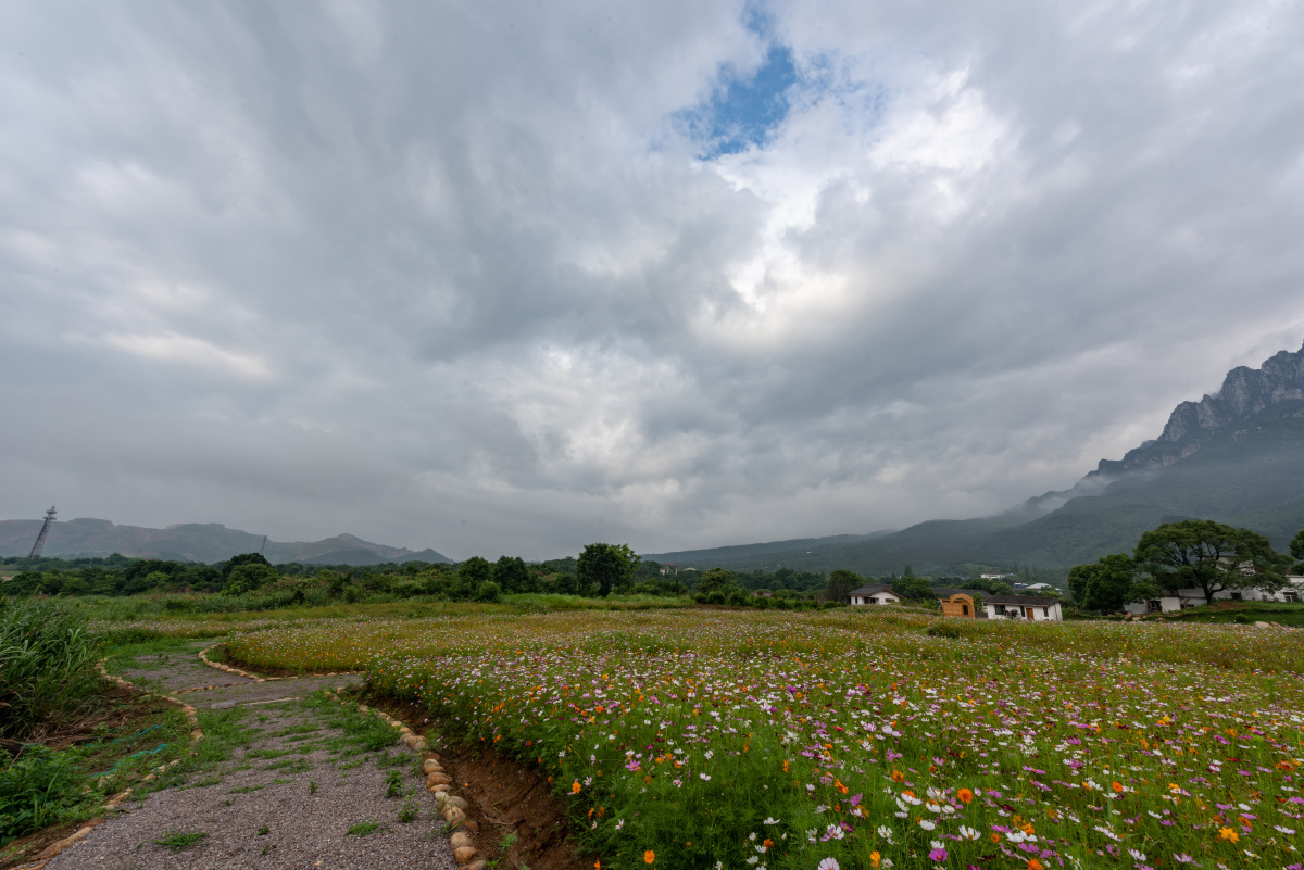 庐山三叠泉花海
