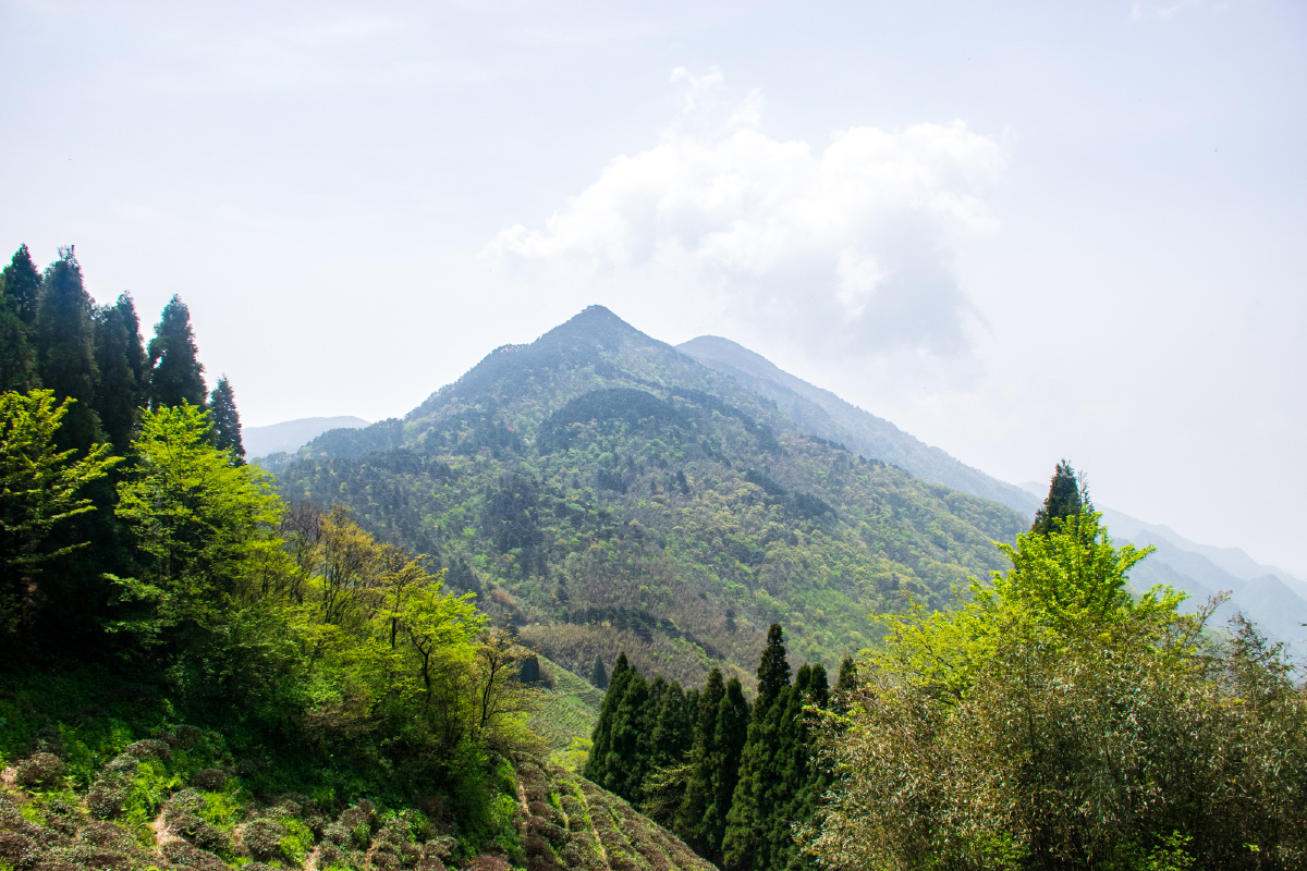 庐山最高峰大汉阳峰沿途风景
