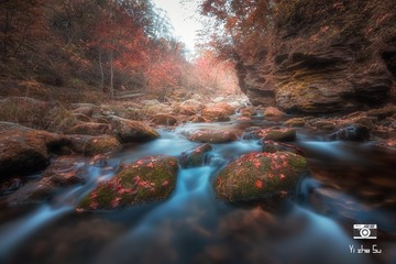 秋季幻想