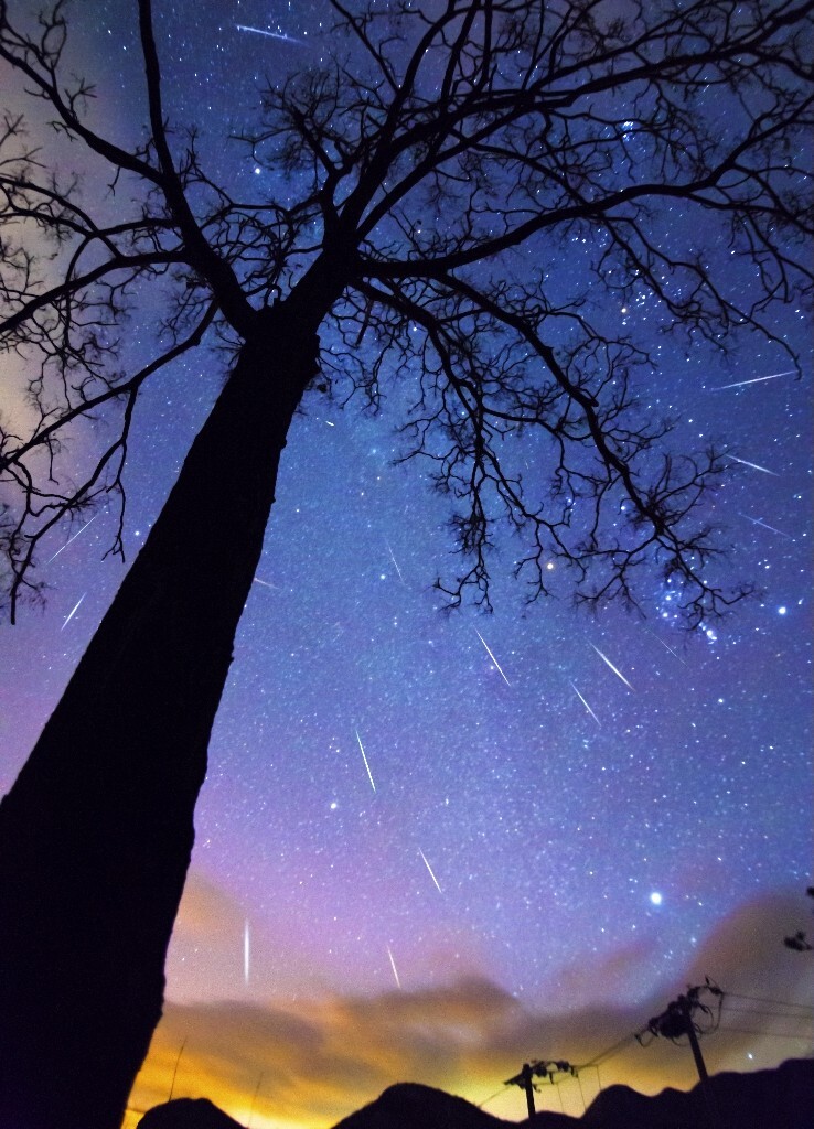 双子座流星雨<br />
一年到头当然为要明年许愿啦<br />
希望那天晚上许的愿望都实现吧<br />
进影队遇见大家真的好开心好开心啊<br />
希望明年的自己多去做自己喜欢的事