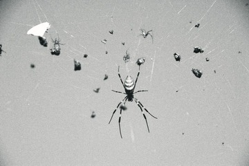 颗粒.jpg