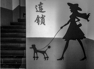 手机摄影20160120-141241