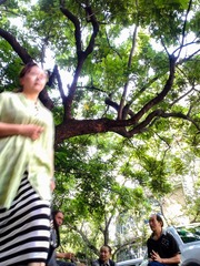 手机摄影20160604-091044