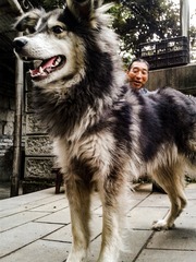 手机摄影20160502-174520
