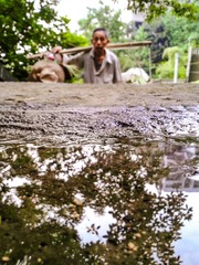 手机摄影20160628-064715