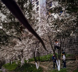 手机摄影20160303-175140