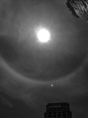 手机摄影20150730-120807