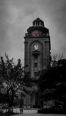 手机摄影20160223-180835