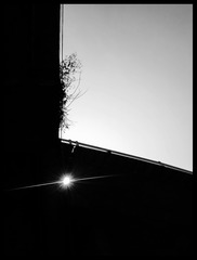 手机摄影20160413-112627