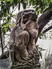 手机摄影20150315-131424