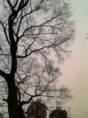 手机摄影20160204-181739