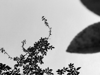 手机摄影20160628-185934