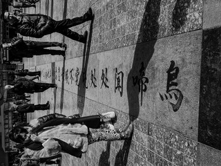 手机摄影20160125-113237