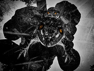 手机摄影20160204-180823