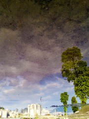 手机摄影20160417-180808