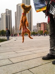 手机摄影20160312-135832
