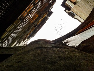 手机摄影20161011-075704