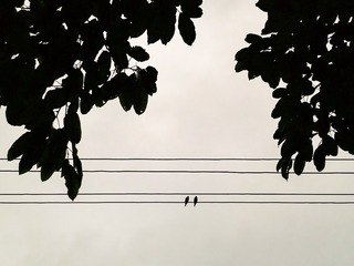 手机摄影20160426-181555