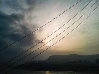 手机摄影20160628-065657