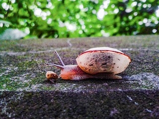 手机摄影20160523-080419