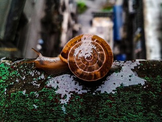 手机摄影20160526-180715