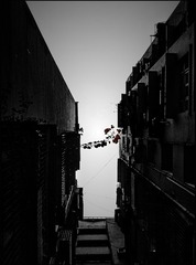 手机摄影20160122-173929