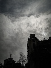 手机摄影20160126-111626