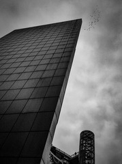 手机摄影20160126-170153