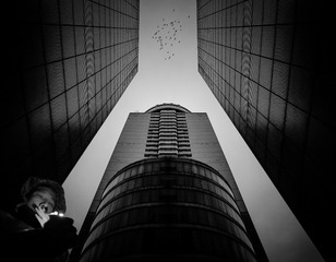 手机摄影20160126-170214
