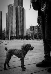 手机摄影20160312-135829