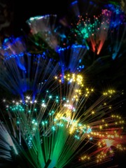 手机摄影20151226-215700