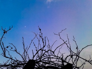 手机摄影20160217-172702