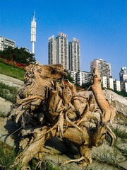 手机摄影20160511-073045