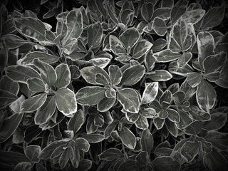 手机摄影20150315-103306