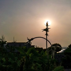 手机摄影20160427-180302