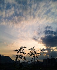 手机摄影20160607-185002