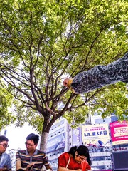 手机摄影20160604-110641