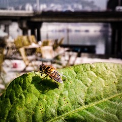 手机摄影20160413-111847