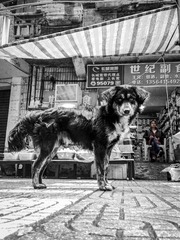 手机摄影20160507-111807