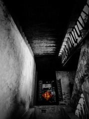 手机摄影20160219-173344
