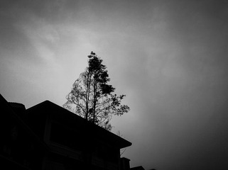 手机摄影20160226-080452