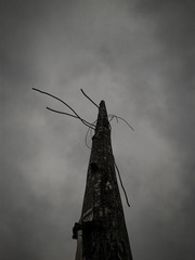手机摄影20160412-175526