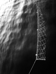 手机摄影20160511-071941